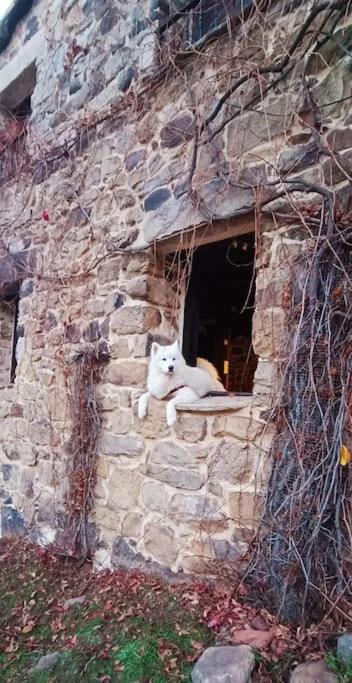 Casa Con Encanto Lagunanegra Y Urbion Vinuesa Kültér fotó