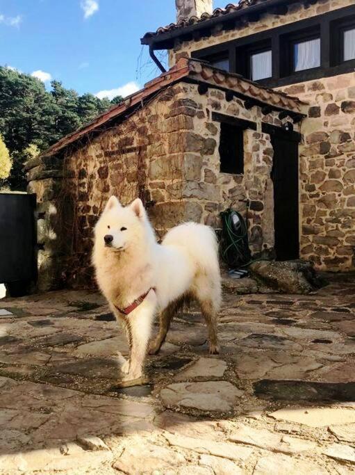 Casa Con Encanto Lagunanegra Y Urbion Vinuesa Kültér fotó